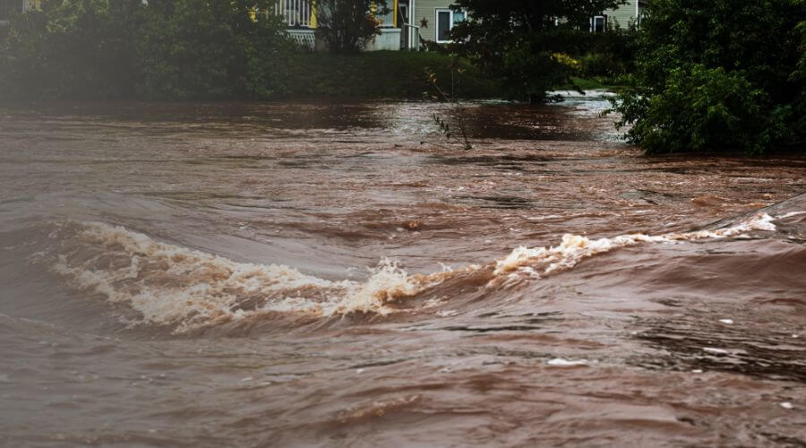 Why choose water damage restoration service for storm damage restoration in San Francisco